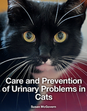 Care and Prevention of Urinary Problems in Cats