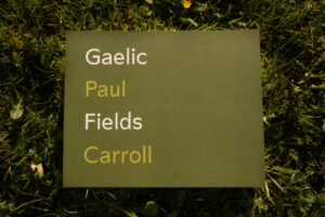 Gaelic Fields