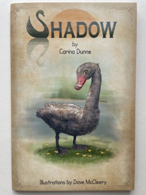Shadow
