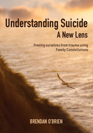Understanding Suicide A New Lens