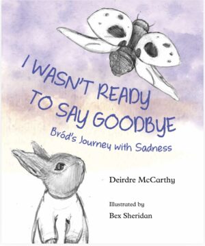 PRE ORDER : I wasn’t ready to say goodbye: Bròds journey with sadness