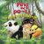 Ping and Po-Li, Rainforest Rescue